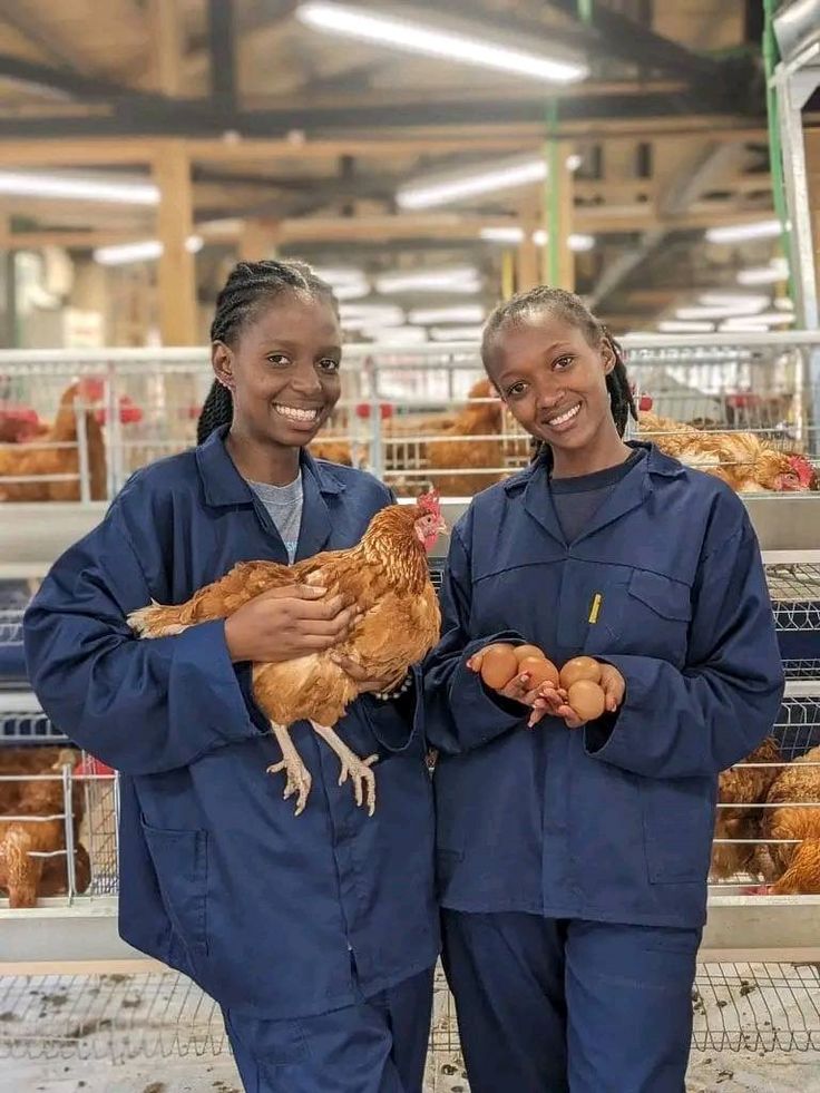 Apresentação-síntese do Plano Estratégico para o Fomento e Financiamento ao Microempreendedorismo Jovem (PEFFMEJ)