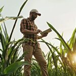 Criação do Gabinete de Apoio Técnico ao Empresariado Emergente (GATEE)