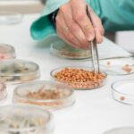 Parceria público-privada no domínio das sementes e fertilizantes