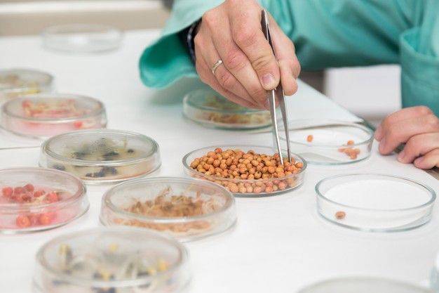 Parceria público-privada no domínio das sementes e fertilizantes